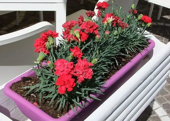 Ristorante Amitrano Pompei